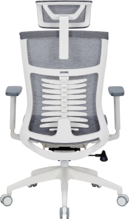 Крісло офісне OfficePro Balance OC620-W-DG-DG