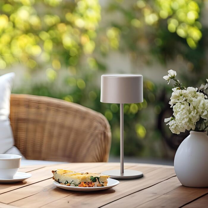 LED-лампа настільна Taupe з диммером та акумулятором. Сучасний дизайн, енергозбереження, USB-зарядка. Настільна лампа для дому.
