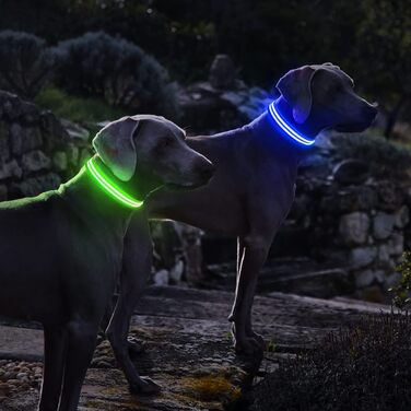 Нашийник для собак PcEoTllar, що світиться, акумуляторний, світлодіодний нашийник для собак, водонепроникний, видимість в темряві - M, синій