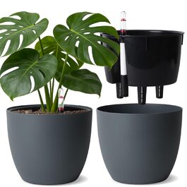 розмір: 20 см