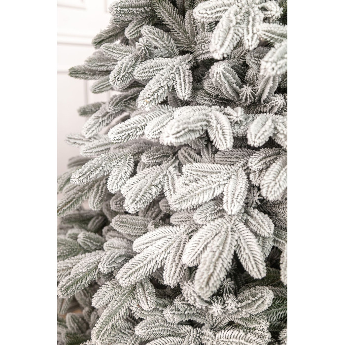 Ялинка лита 'Лапландська' ЗАСНІЖЕНА ПАРАСОЛЬКА 1,50м