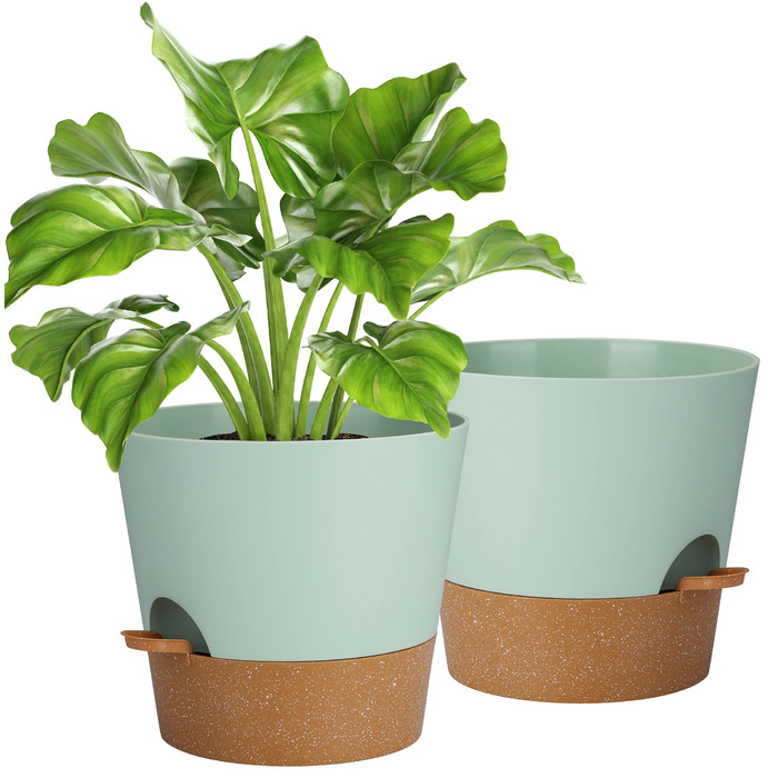 Набір з 2 горщиків для квітів 25.4 см, пластик, з системою поливу, для дому, балкону, саду, сукулентів, кактусів (зелений, коричневий)