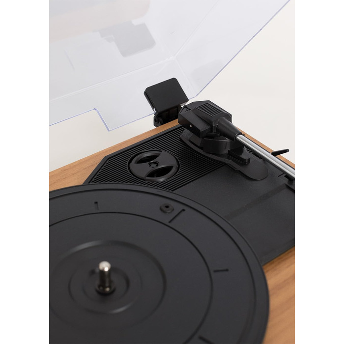 Програвач вінілу CREATE Salbeigrün з Bluetooth, USB, SD, MicroSD, Mp3, натуральне дерево, PRO