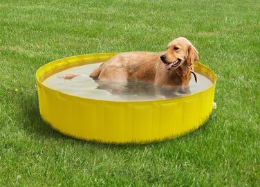 Для собак, помаранчевий, 0102 My Dog Pool Pool