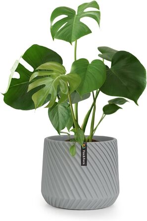 Квітчар Fox & Fern Großer: великий горщик для квітів з бетону 30,5 см з 3D-текстурою та дренажем