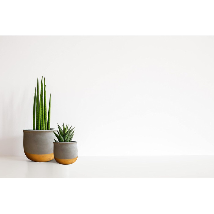 Набір керамічних горщиків Olly & Rose Gold Dip: 17 см + 12 см, для дому та саду, золотий декор