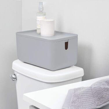 Тримач і щітка для туалетного рулону iDesign Cade (матовий сірий)