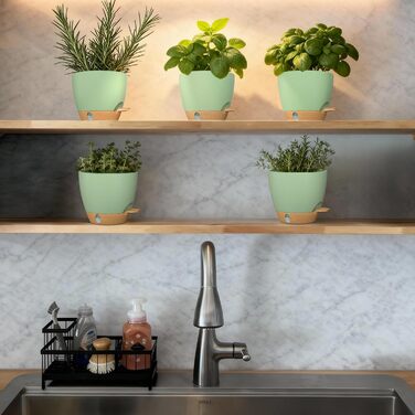 Набір горщиків для квітів ZMTECH 25 см з підставкою, пластикові, самополив, індикатор рівня води, для дому та саду (2 шт.)