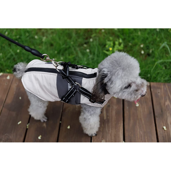 Пальто для собак Lairle, зимова куртка для собак, пальто для собак, пальто для цуценят, куртка, мокрий одяг, пальто для маленьких собак, пальто для маленьких собак середнього розміру Roa (XXL, Білий)