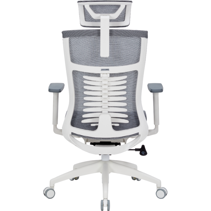 Крісло офісне OfficePro Balance OC620-W-DG-DG