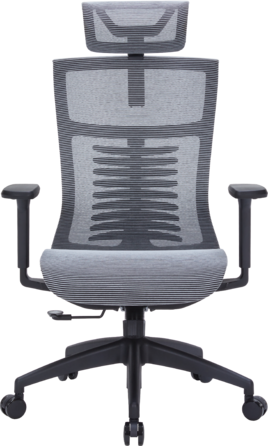 Крісло офісне OfficePro Balance OC620-B-DG-DG