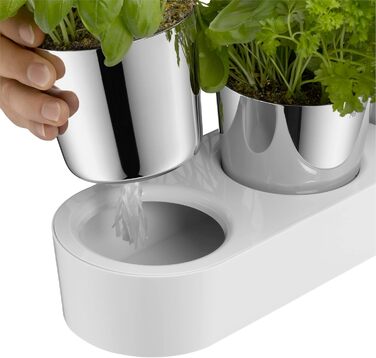 Набір горщиків для трав WMF Gourmet з системою поливу, 3 шт., для кухні, 36x12,5x12,5 см, білий, для свіжих трав