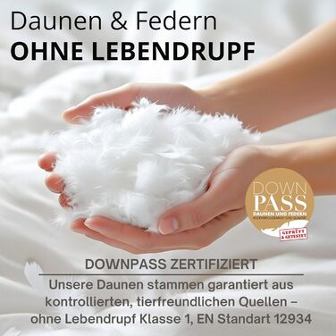 Німецьке пухове подушка 80x80 | 3-камерна подушка 80x80 з пуху та пір'я | М'яка та підходить для алергіків | Ергономічна подушка | Подушка 1x 80x80 см