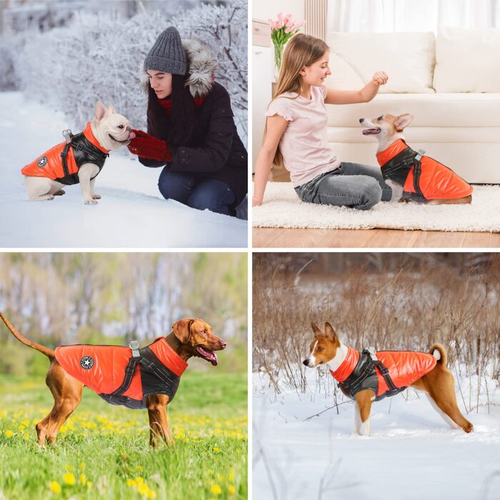 Зимове пальто для собак Oslueidy, одяг для домашніх тварин, водонепроникна куртка для цуценят, теплий жилет для собак, Одяг для домашніх тварин, вітрозахисний одяг для собак, світловідбиваючий зимовий костюм для кішок для маленьких і середніх собак, l пом