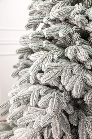 Ялинка лита 'Лапландська' ЗАСНІЖЕНА ПАРАСОЛЬКА 1,50м