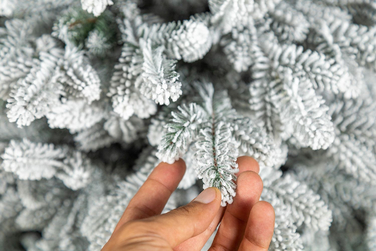 Ялинка лита 'Альпійська' ЗАСНІЖЕНА 2,50м