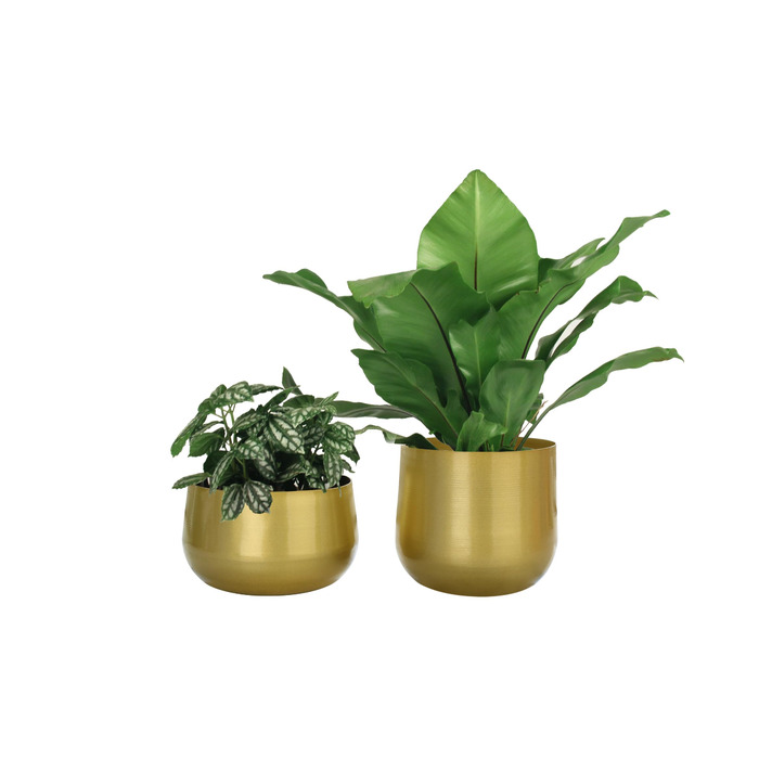 Квітчаки для саду Vixdonos з латуні, 2 шт. (19,5 см, 16/19 см), круглі, для сукулентів, золотистого кольору