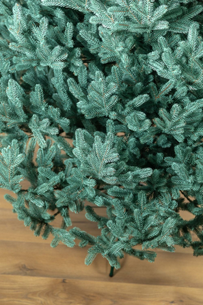 Ялинка лита 'Віденська' Блакитна 3,00м