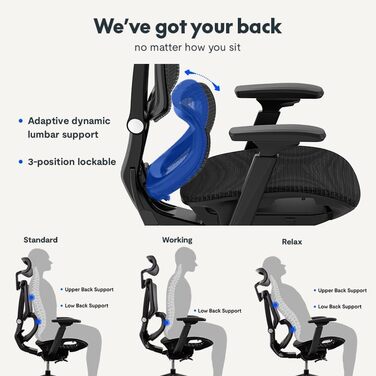 Крісло офісне ергономічне FLEXISPOT ErgoX чорного кольору, регульована поперекова підтримка, 4D підлокітники, 2D підголівник, дихаючий матеріал, висота регулюється, вантажопідйомність до 130 кг