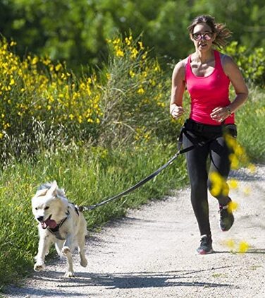 Тяговий повідець I-dog Canicross Traction Lead сірий