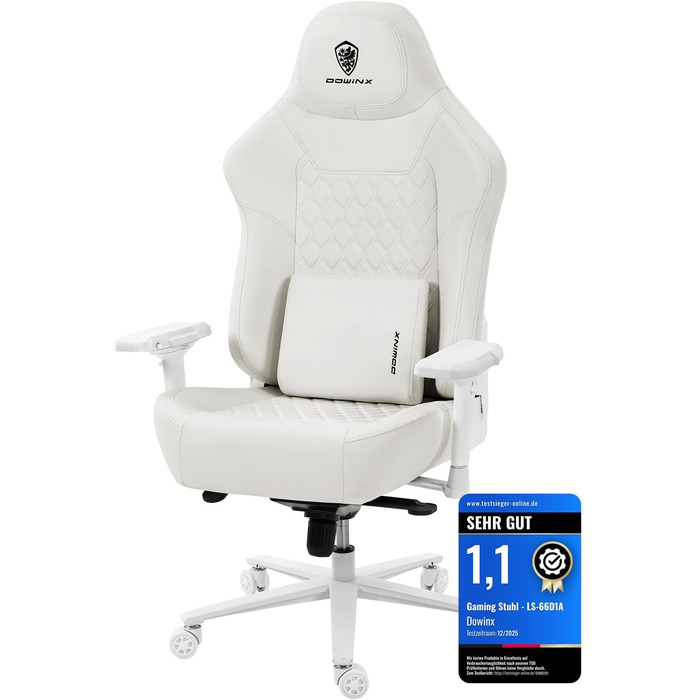 Ігровий крісло Dowinx для геймерів Esport, ергономічний офісний крісло з підлокітниками 4D та масажем попереку, витримує до 200 кг, регульована висота (білий)