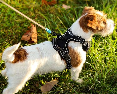Світловідбиваюча, регульована, м'яка і дихаюча шлейка для маленьких собак з захистом від волочіння FIRSTPAW, шлейка для собак невеликого розміру S, шлейка для собак з м'якою підкладкою і повітропроникністю