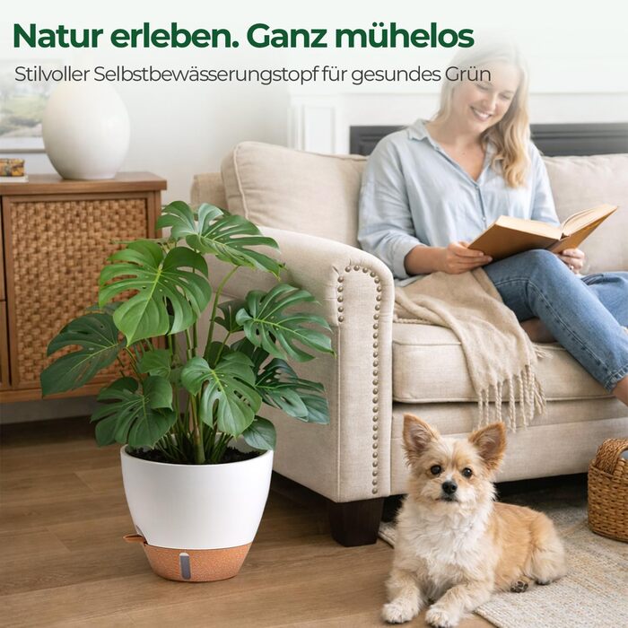 Набір 4 самополивні горщики для квітів T4U з індикатором рівня води, легкі у догляді, великі (30 см, білий)