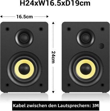 Sanyun SW206: 4-дюймові Hi-Fi колонки з підсилювачем 80W, Bluetooth 5.4, USB DAC, для програвачів, TV, PC. Білий колір