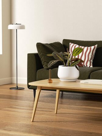 Керамічні горщики LE TAUCI з підставкою, 10+13+16 см, набір з 3 горщиків для кімнатних рослин, з дренажним отвором (білий)