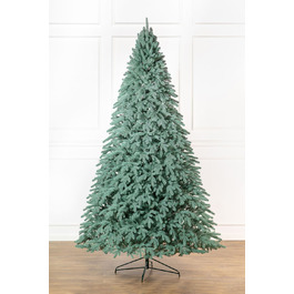 Ялинка лита 'Лапландська' ПАРАСОЛЬКА БЛАКИТНА 3,00м