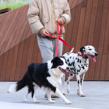 Чудовий Елітний подвійний повідець для ляпасів, регульований світловідбиваючий подвійний повідець для собак, повідець для 2 собак для тренувальної ходьби і бігу (BLK) (рожевий)