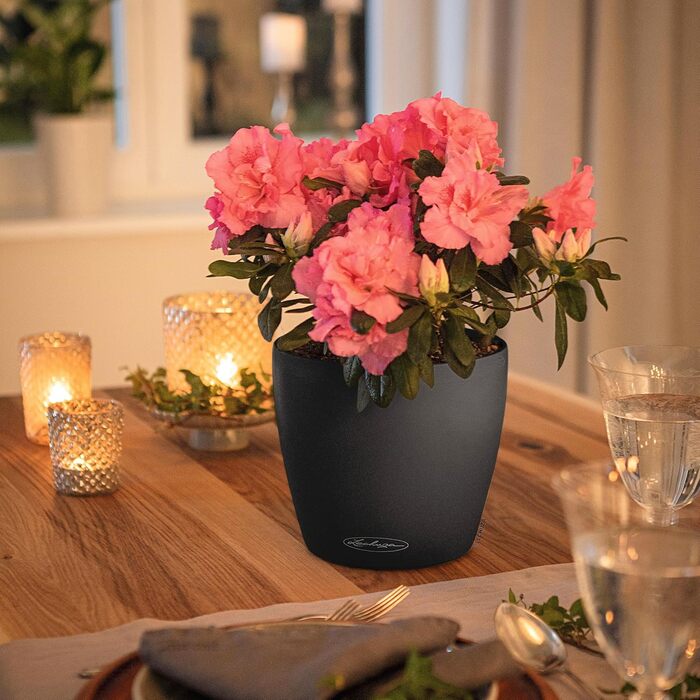 Горщик для квітів LECHUZA CLASSICO Color 21, сірий шифер, 22x22x20 см