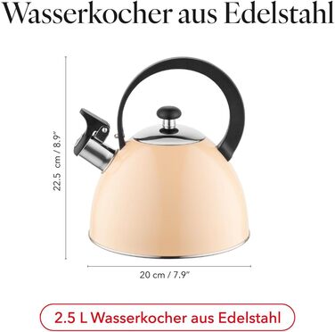 Чайник FLORINA Fenny Satin Induktion 2.5L з флейтою, нержавіюча сталь, Cool-Touch, сучасний дизайн (Brillo - персиковий)