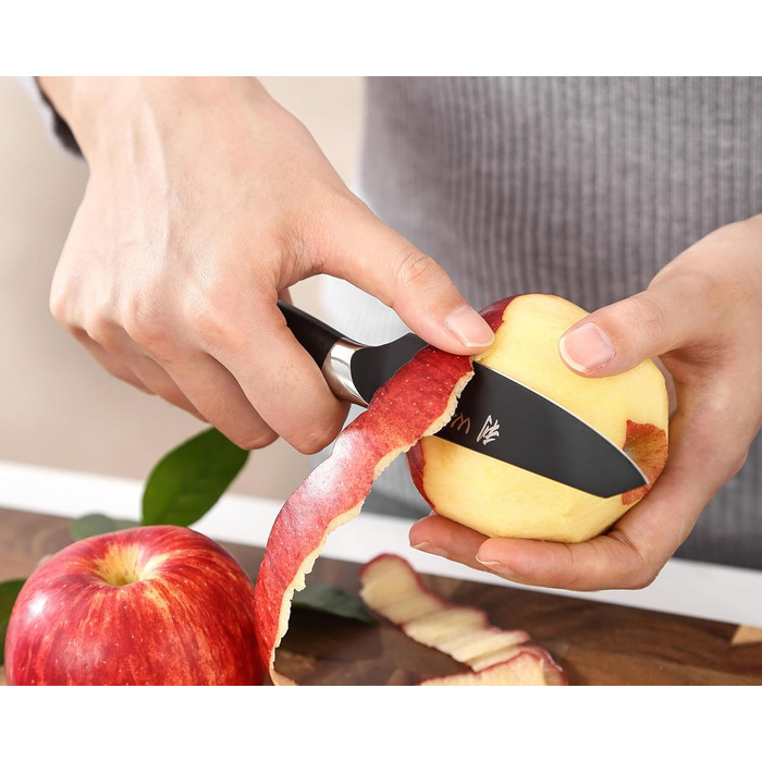 Набір кухонних ножів Wakoli Titanium Noir (5 предметів) з бруском - професійний набір кухонних ножів з титановим покриттям, нержавіюча сталь, чорне покриття, магнітний брусок