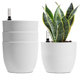 розмір: 18,5 x 16 см