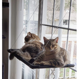 Вікно гамака для котів Dracarys / для великих котів вагою до 25 кг / посилений гамак для котів з міцною присоскою / ліжко для засмаги для котів ліжко для домашніх тваринпідходить для довжини вікна 74 см і висоти 64 см
