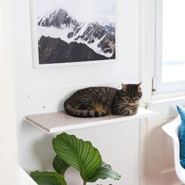 Настінний шезлонг для котів ліжко для котів настінний шезлонг настінне ліжко меблі для котів стіна для скелелазіння полиця для котів білий повстяна подушечка