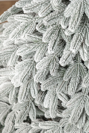 Ялинка лита 'Лапландська' ЗАСНІЖЕНА 2,50м