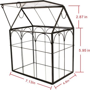 Скляне терассіум ElegantLife Geometris для сукулентів та повітряних рослин, чорний, House