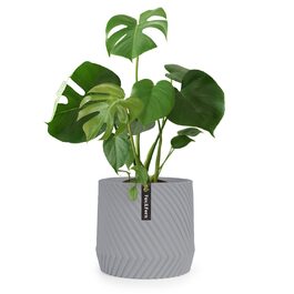 Квітчар Fox & Fern Großer: великий горщик для квітів з полістиролу (30,5 см) з 3D-текстурою та дренажним отвором, для дому та бетону