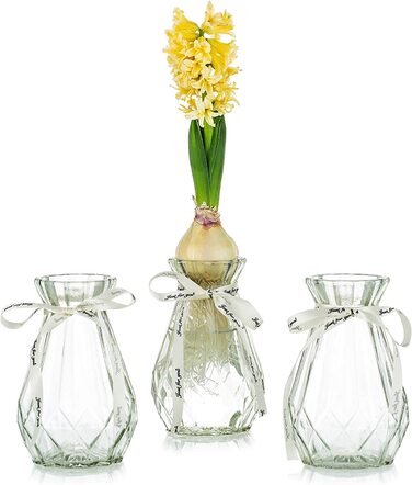 Скляні вази для квітів зі шпагатом 3 шт./компл. Квіткові композиції, Скляні вази для квітів, кришталеві вази з бутонами, креативні для весілля, будинку, кухні, прикраси саду, балкона (3 шт., 2 )
