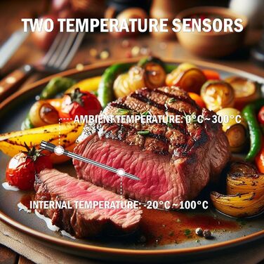 Бездротовий термометр для м'яса ANTELA з Bluetooth 200M, LCD дисплеєм, сигналом та APP, для приготування на грилі, BBQ та в духовці
