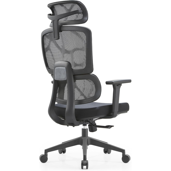 Ергономічне крісло для офісу Ella Rhae Premium - чорне, з сітчастою спинкою