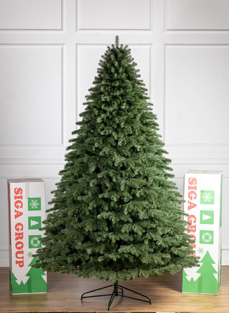 Ялинка лита 'Версальська' ПАРАСОЛЬКА ЗЕЛЕНА 3,00м