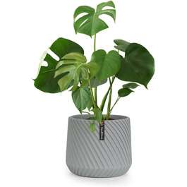 колір: бетон