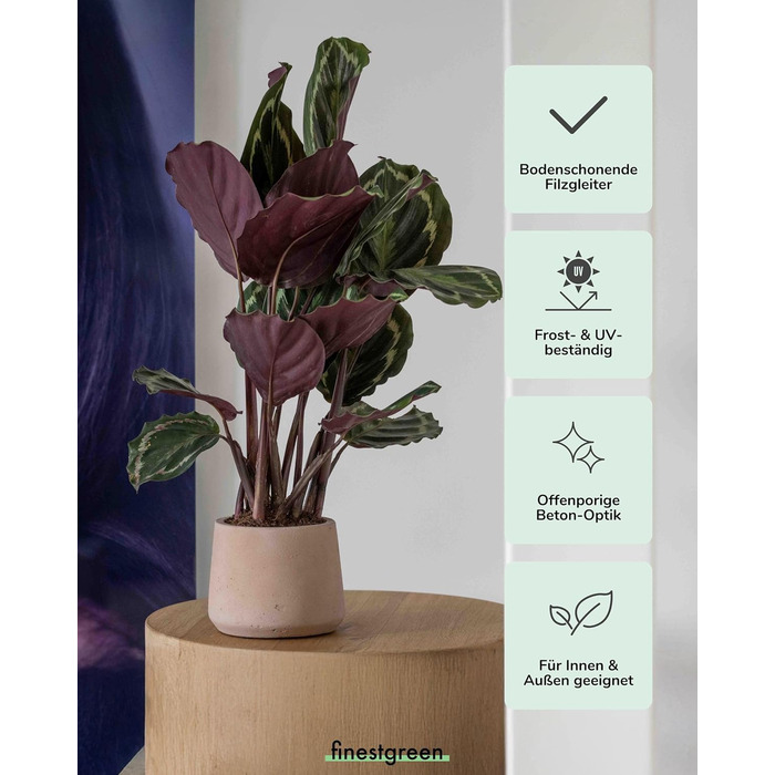 Вазон Patt Pflanzgefäß Grau L: бетонний вазон для дому та саду, морозостійкий, UV-стійкий, Ø20x16x16.5 см