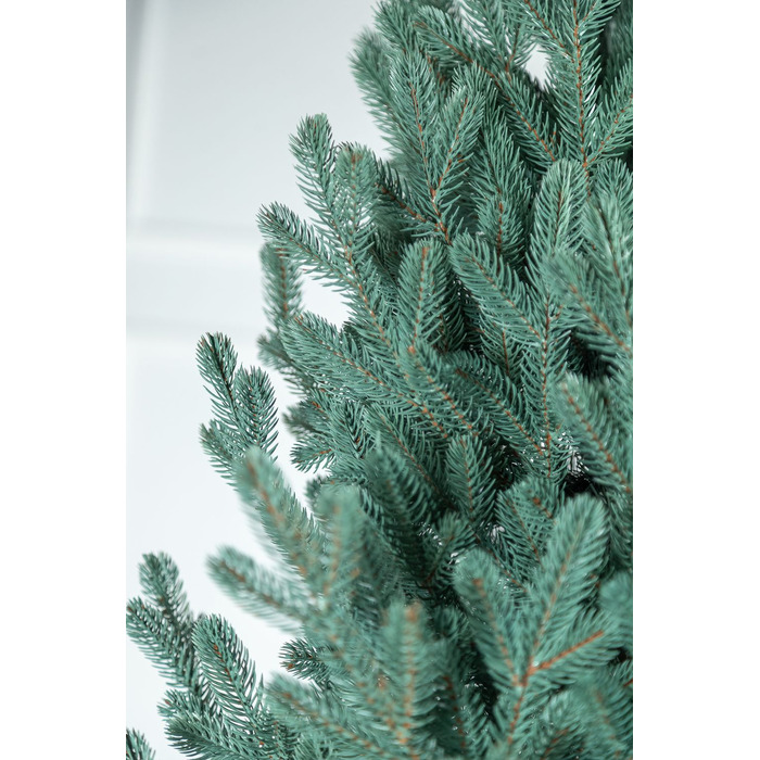 Ялинка лита 'Віденська' Блакитна 3,00м