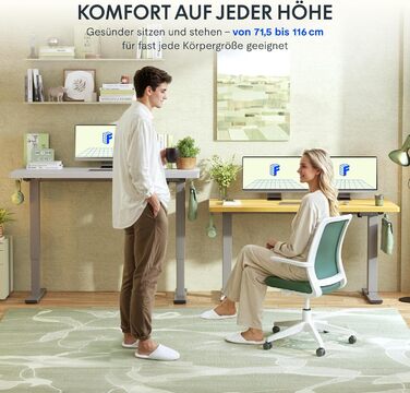 Електричний регульований стіл FlexiSpot з пам'яттю висоти та LED-дисплеєм, сірий (EN1)