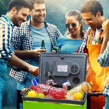 Термобокс-холодильник електричний 30л Gora Grey/Gilmo Green для авто, кемпінгу, пікніка