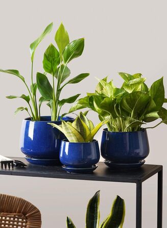 Керамічні горщики LE TAUCI з підставкою, 10+13+16 см, набір з 3 горщиків для кімнатних рослин, з дренажним отвором, колір Сафіровий Блакитний